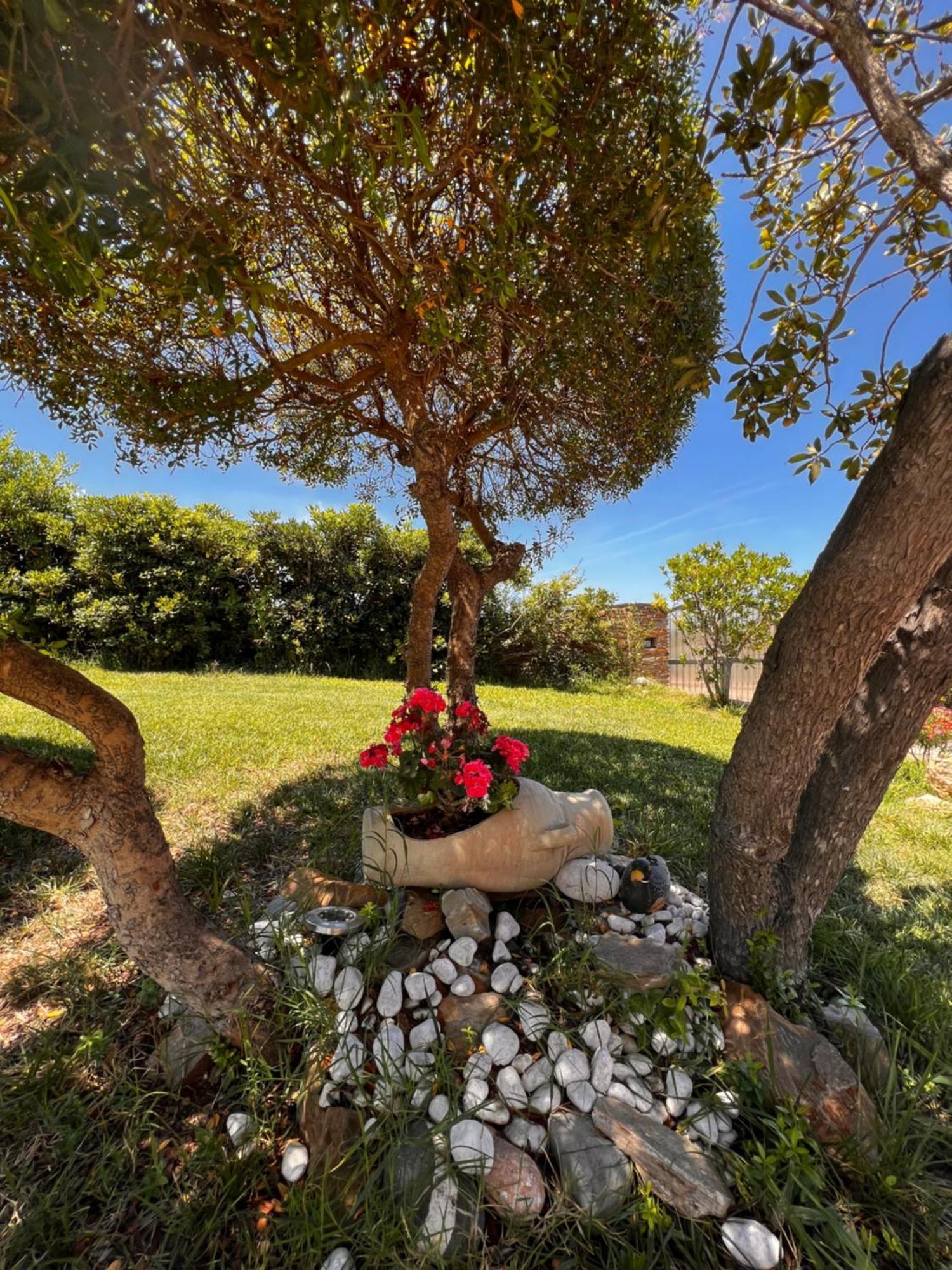 Villa Patrizia Stintino Luaran gambar